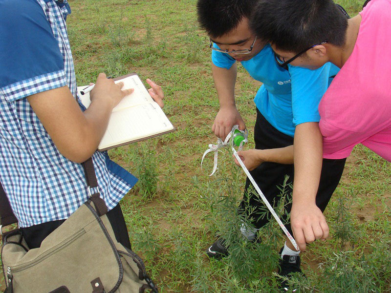 7月19日,蘭州大學(xué)綠色營(yíng)團(tuán)隊(duì)吸收上一階段的調(diào)研經(jīng)驗(yàn),再次下濕地進(jìn)行現(xiàn)場(chǎng)研究。圖為隊(duì)員們正在測(cè)量確認(rèn)樣方的范圍。