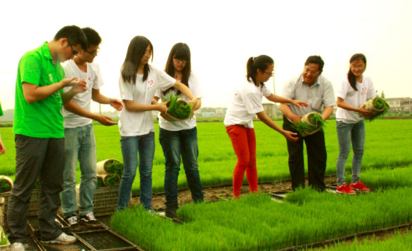 ��ꎎ����WԺ���Gɫ���ۡ����`�־Ը����ˮ�����g�M���w�ʽ������