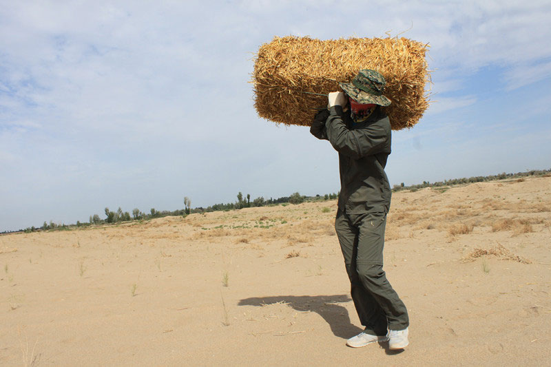 �F�T���i�������ݣ����ϳ����������������؟����