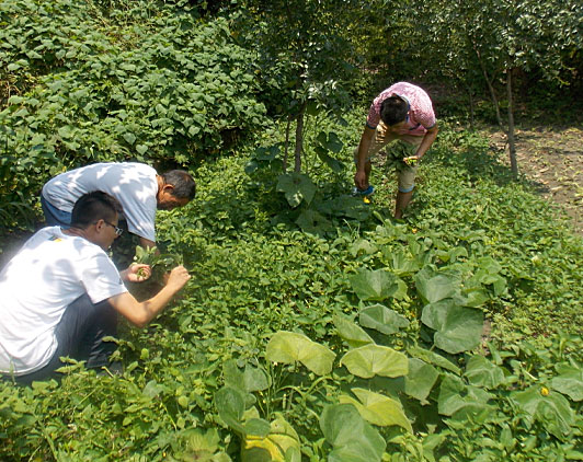 �ڶ��죬�(du��)�T���_ʼ�������B(t��i)�r(n��ng)���w�(y��n)�r(n��ng)�����������ժ�ˡ�