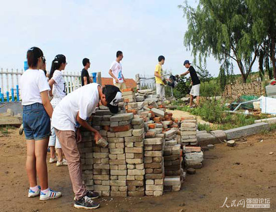 志愿者為大天鵝搭建小屋。