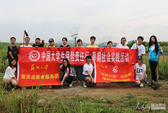 志愿者們到大天鵝保護基地內清理雜物。