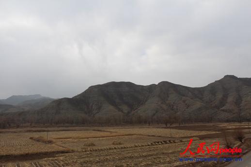 �o���^����Ρ���Ⱥɽ�c�r���� ����� �z��