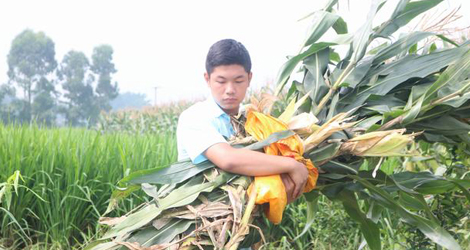 ���G���ˡ��Ƽ�֧�r����������`