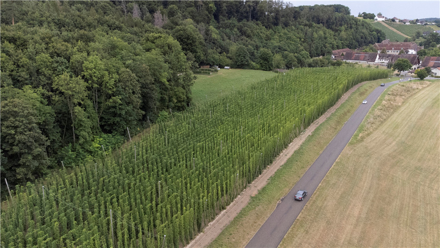 ��ʿ��˹�����l�徰�^����