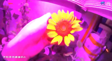 天宮TV︱欣欣向榮，值得期待！