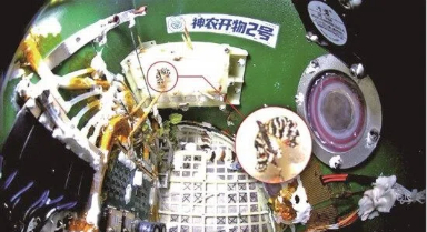 “神農開物2號”在軌試驗取得新進展